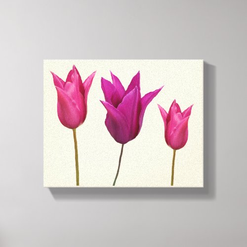 Minimalist hot pink Dutch tulips flower digital  Canvas Print