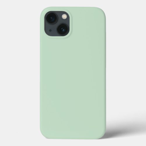 Minimalist Light Celadon Green Plain Solid Color  iPhone 13 Case