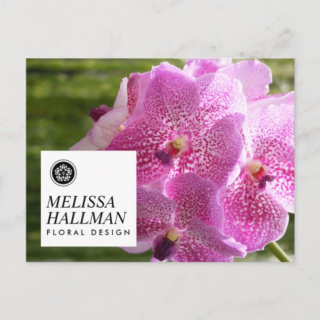 Minimalist Luxe Floral Logo with Pink Orchids Postcard (Front)