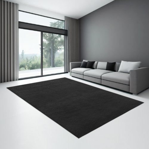 Minimalist Modern Abstract Black Solid Color Area Rug