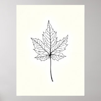 Minimalist Modern Art .Single Maple Leaf Line Art Poster