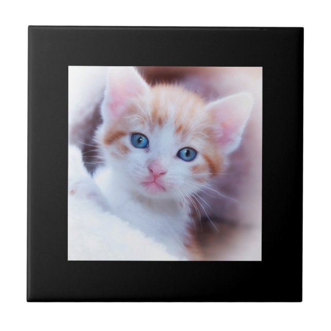 Minimalist Modern Black Border Photo Ceramic Tile (Front)