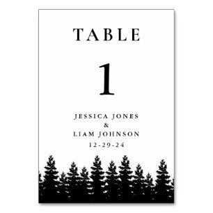 Minimalist Modern Black White Winter Wedding Table Number