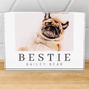 Minimalist Modern Chic Pet Bestie BFF Photo