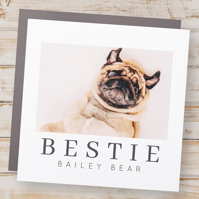 Minimalist Modern Chic Pet Bestie BFF Photo Car Magnet (Creator Uploaded)
