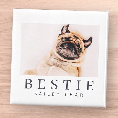 Minimalist Modern Chic Pet Bestie BFF Photo Magnet