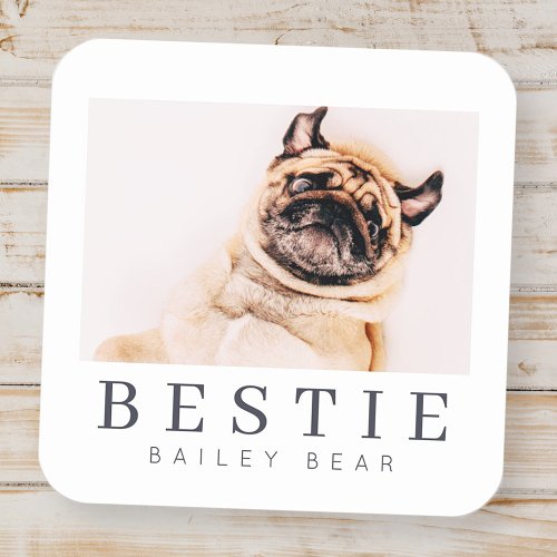 Minimalist Modern Chic Pet Bestie BFF Photo Square Sticker