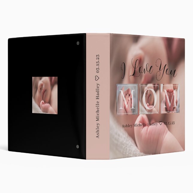 Minimalist Modern New Baby's First Year 3 Ring Binder (Background)