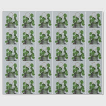 Minimalist Money Plant -Matte Wrapping Paper