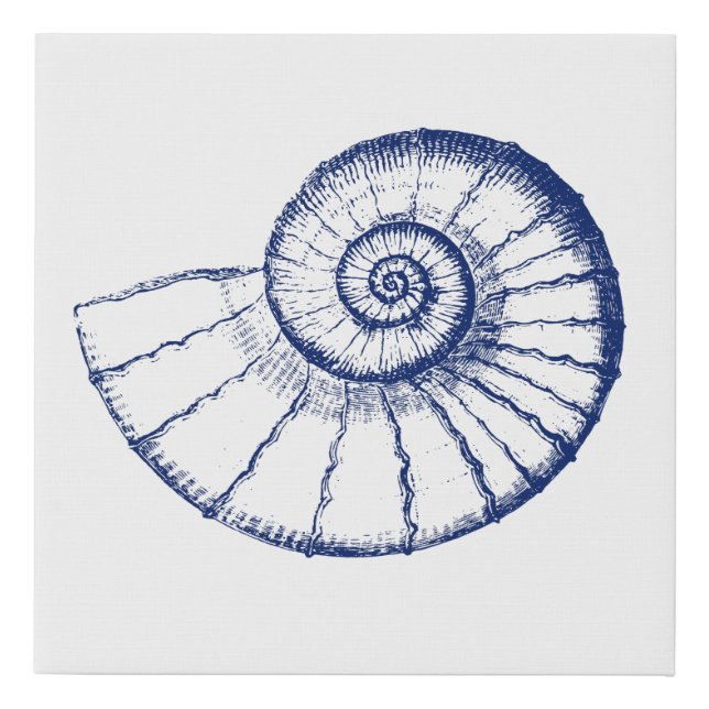 Minimalist Nautilus Sea Shell Faux Canvas Print (Front)