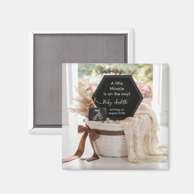 Minimalist Neutral basket pregnancy announcement  Magnet (Front/Back)