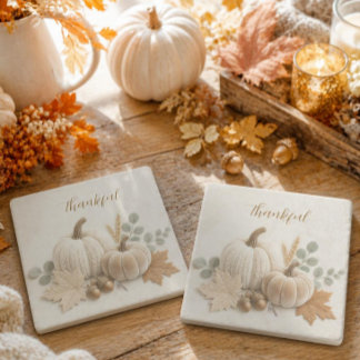 Minimalist Neutral Pumpkins Fall Stone Coaster