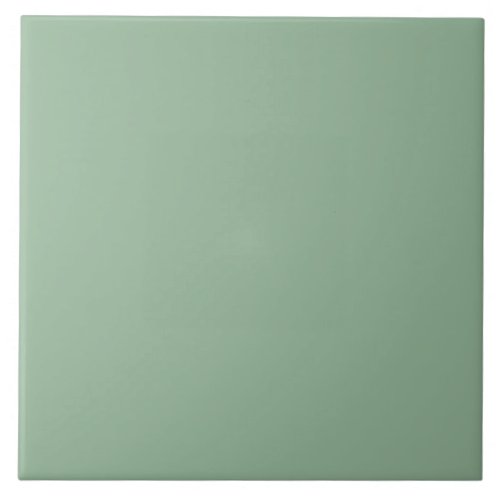 Minimalist Nurturing  Green Plain Solid Color    C Ceramic Tile