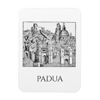 Minimalist Padua Medieval Skyline Line Art Magnet