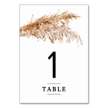 Minimalist Pampas Grass Wedding Table Number Card by figtreedesign at Zazzle