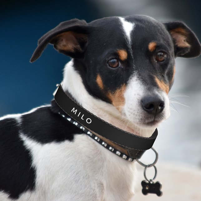 Minimalist Personalized Black Pet Collar (Creator Uploaded)
