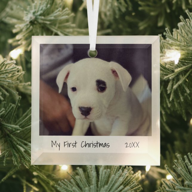 Minimalist Photo Pet First Christmas  Glass Ornament (Insitu)
