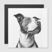 Minimalist Pitbull Black and White Art (Front/Back)
