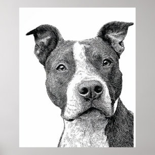 Minimalist Pitbull Silhouette Black and White Poster