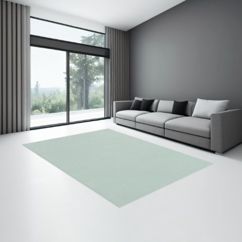 Minimalist Powder Ash Solid Color Classy Elegant Rug