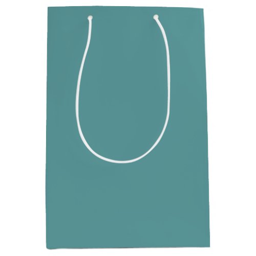 Minimalist Professional Modern Plain Cadet Blue Medium Gift Bag