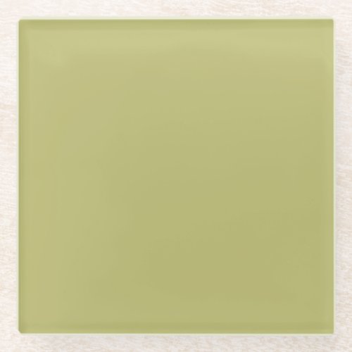 Minimalist Professional Modern Solid Olive Green Glass Coaster