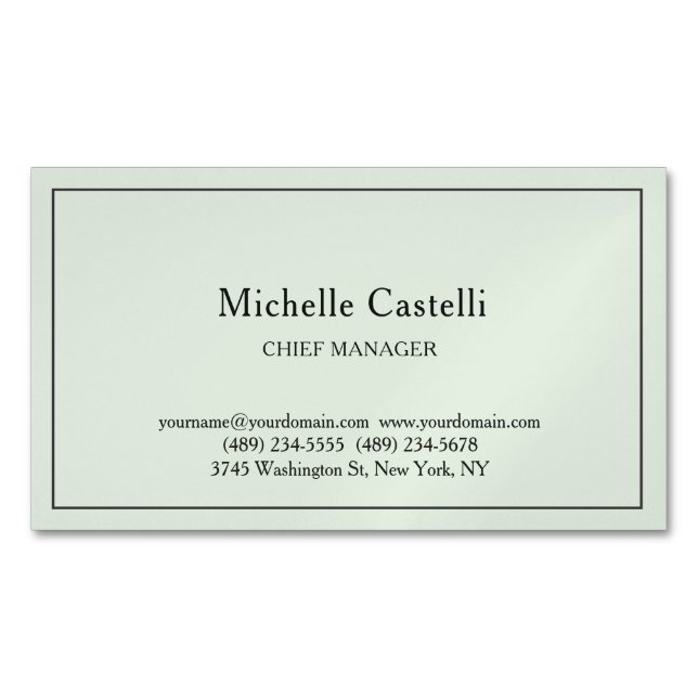 Minimalist Professional Unique Classical Pastel Business Card Magnet (Front)
