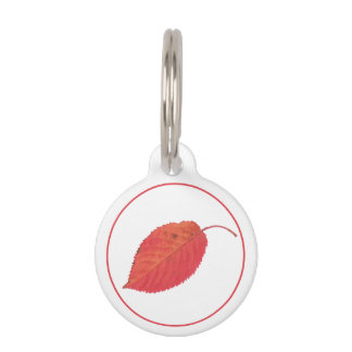 Minimalist Red Autumn Leaf And Pet's Info Pet ID Tag