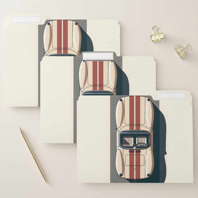 Minimalist Retro Racing Car Stripe File Folder (Set)