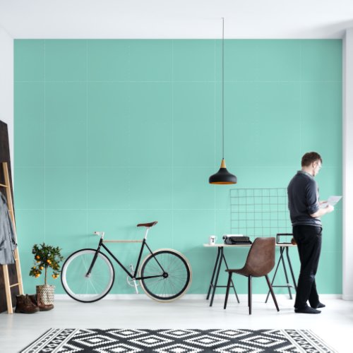 Minimalist robin egg blue plain solid color modern wallpaper 