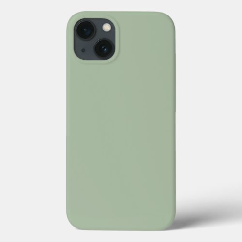 Minimalist Sage Green Plain Solid Color iPhone 13 Case