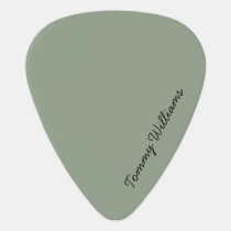 Minimalist Sage Green Professional Simple Guitar Pick