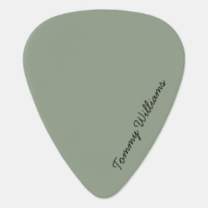 Minimalist Sage Green Professional Simple Guitar Pick