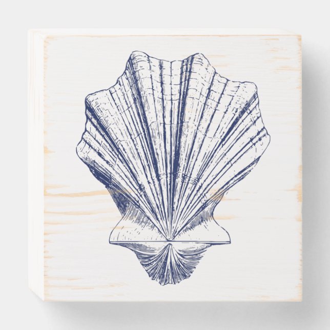Minimalist Scallop Seashell in Blue Wooden Box Sign (Front Horizontal)