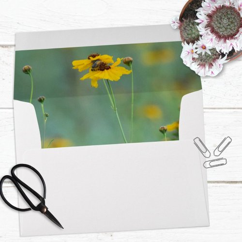 Minimalist Scenic Yellow Wildflower Photograph Envelope
