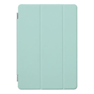 Minimalist seafoam mint green plain solid iPad pro cover