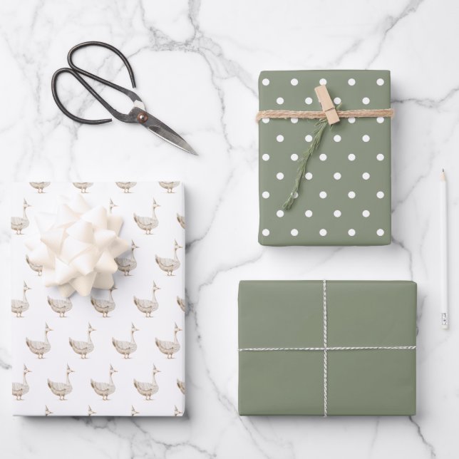 Minimalist Silly Goose Kid's Birthday  Wrapping Paper Sheets (Front)