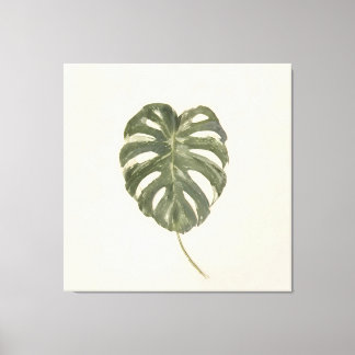 Minimalist Variegated Monstera Leaf Vintage Cream Canvas Print