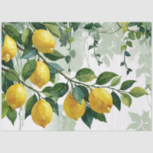 Minimalist Watercolor Lemon Branch Tissue Paper