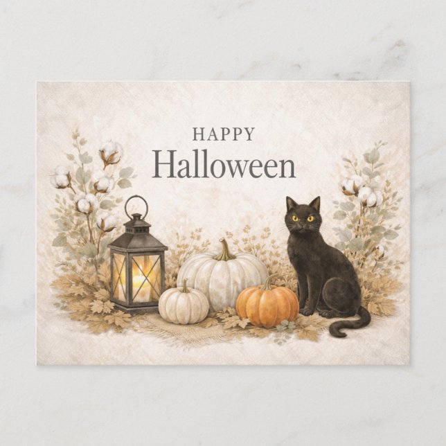 Minimalist White Cotton Stems Eucalyptus Halloween Holiday Postcard (Front)
