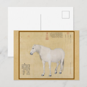 Minimalist White Horse Portrait - Oriental Chic Postcard