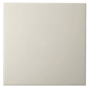 Minimalist  White Plain    solid color  Ceramic Tile