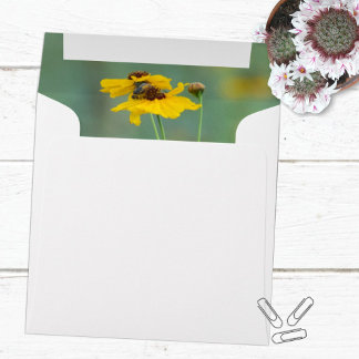 Minimalist Yellow Wildflower Photograph Envelope
