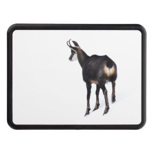 Minimalistic Alpine Chamois mountain goat on snow Hitch Cover