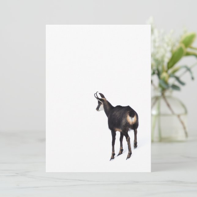 Minimalistic Alpine Chamois mountain goat on snow Invitation (Standing Front)