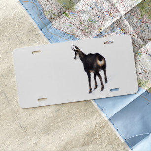 Minimalistic Alpine Chamois mountain goat on snow License Plate