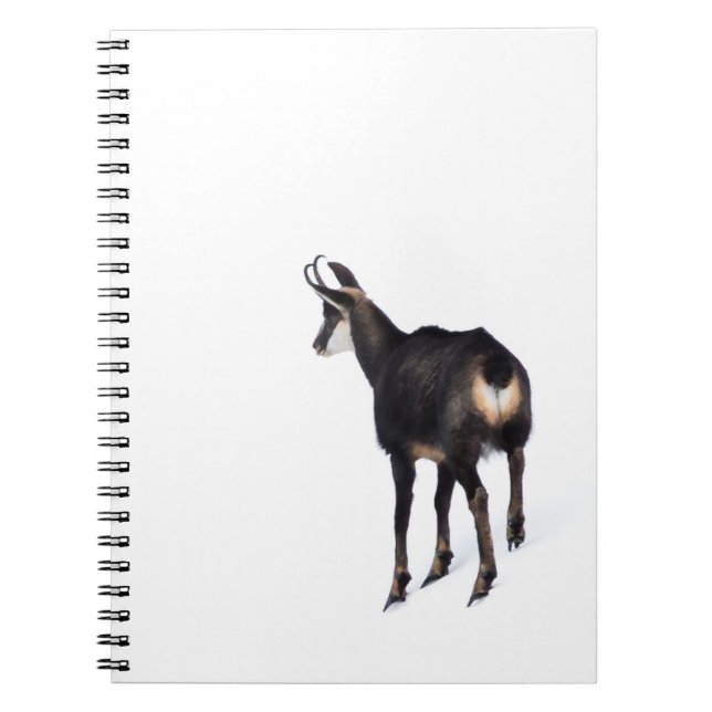 Minimalistic Alpine Chamois mountain goat on snow Notebook (Front)
