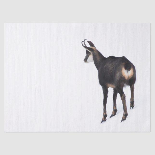 Minimalistic Alpine Chamois mountain goat on snow Tissue Paper (Front)