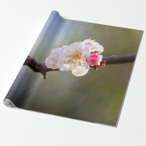 Minimalistic Art Of Japanese Apricot In Bloom Wrapping Paper