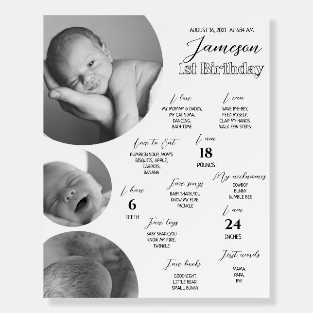 Minimalistic Circle First Birthday Milestones Sign (Front)